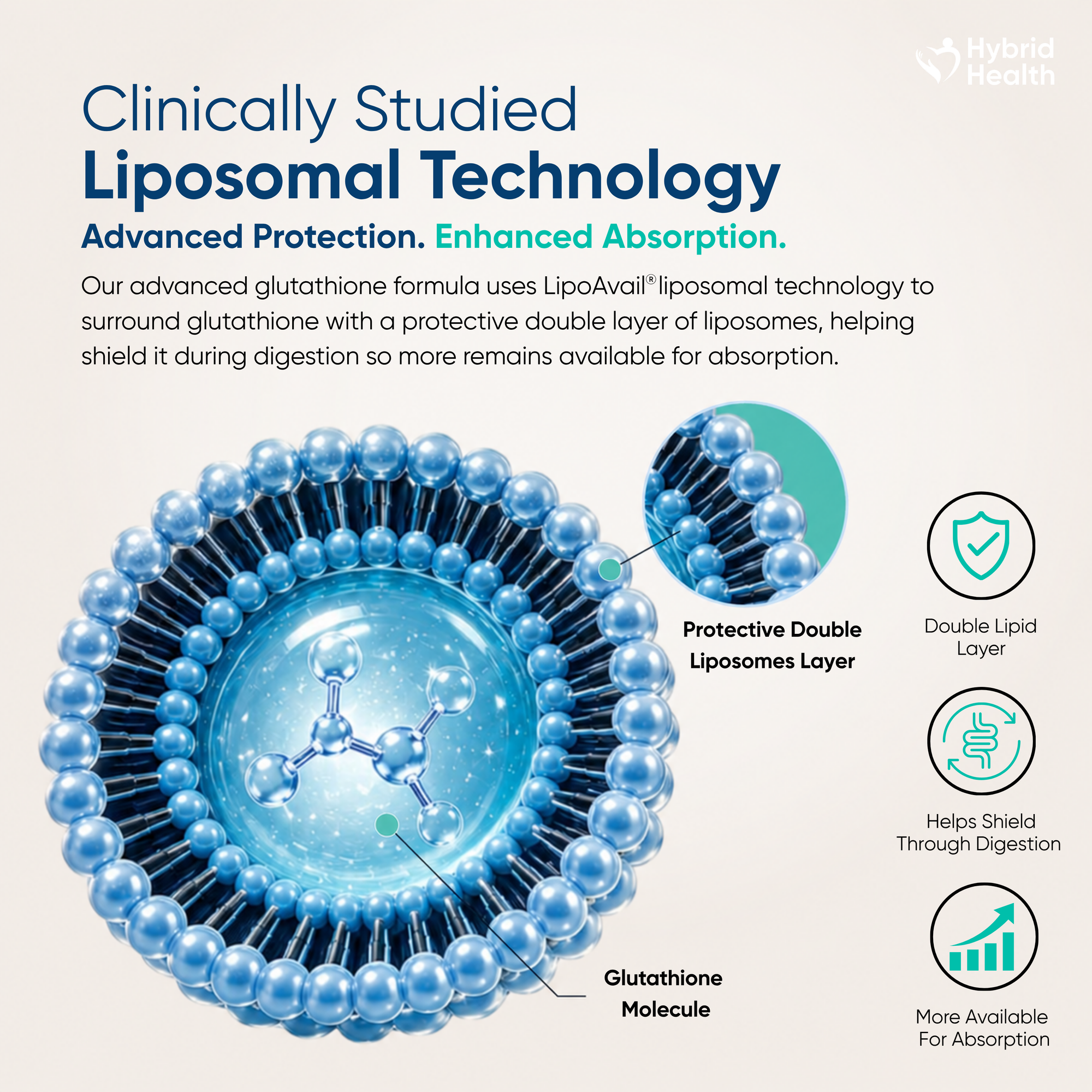 Liposomal Glutathione – Hybrid Health