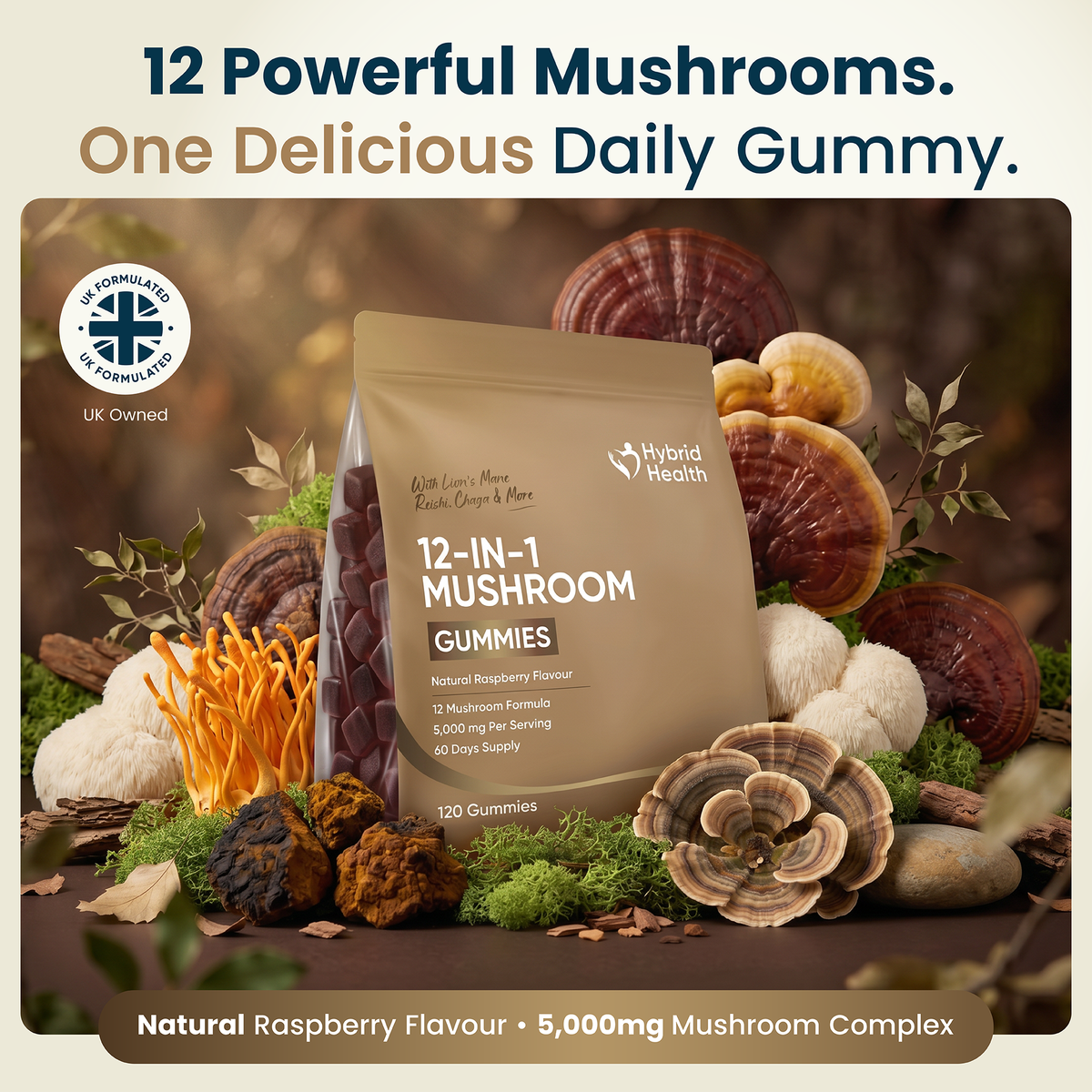 12-in-1 Mushroom Gummies