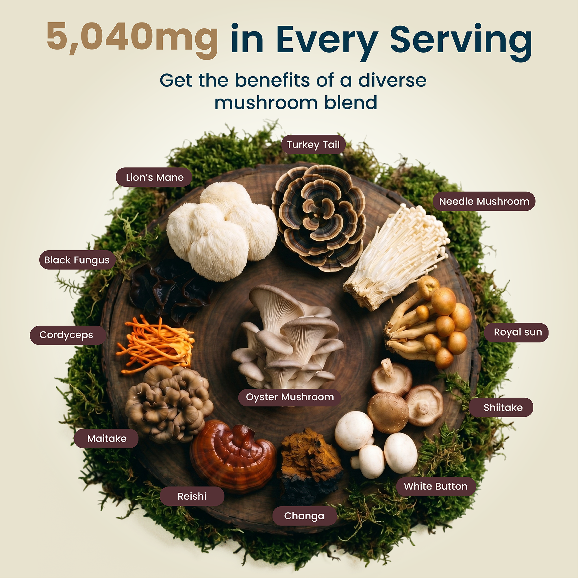 12-in-1 Mushroom Gummies