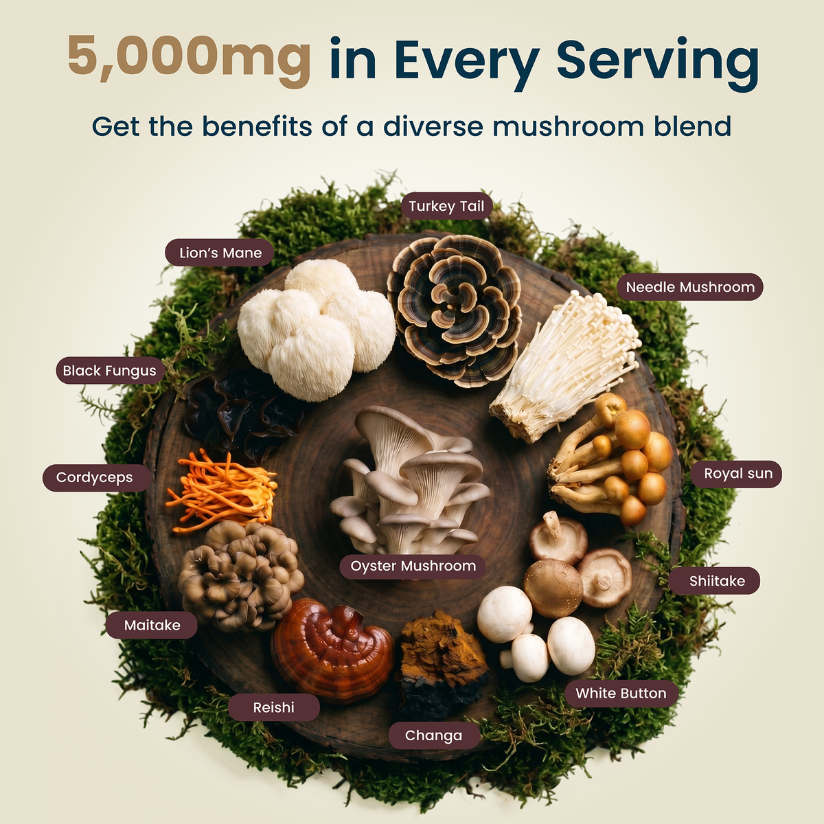 12-in-1 Mushroom Gummies